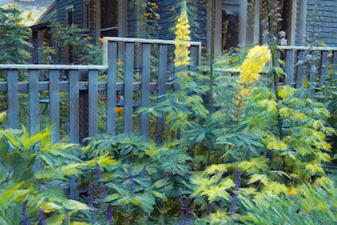 SG Aspen Artwork - Aspen Fence 011 SG Aspen Artwork - Aspen Fence 01