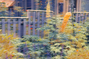 SG Aspen Artwork - Aspen Fence 03 SG Aspen Artwork - Aspen Fence 03