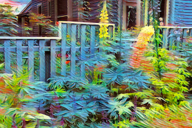 SG Aspen Artwork - Aspen Fence 04 SG Aspen Artwork - Aspen Fence 04