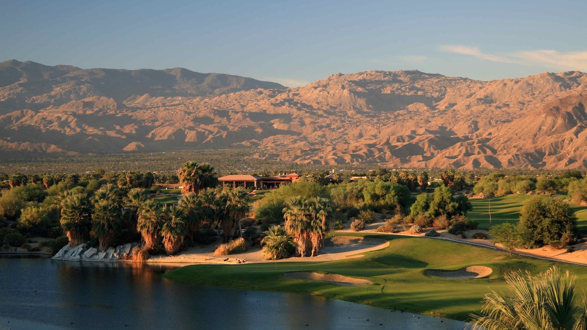 Palm Desert - Desert Willow - Image #2